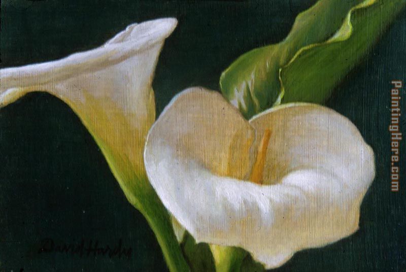 Calla Lily Duo painting - David Hardy Calla Lily Duo art painting Calla Lily Duo painting - David Hardy Calla Lily Duo art painting